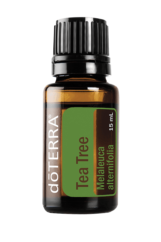 Ulei de arbore de ceai 15ml