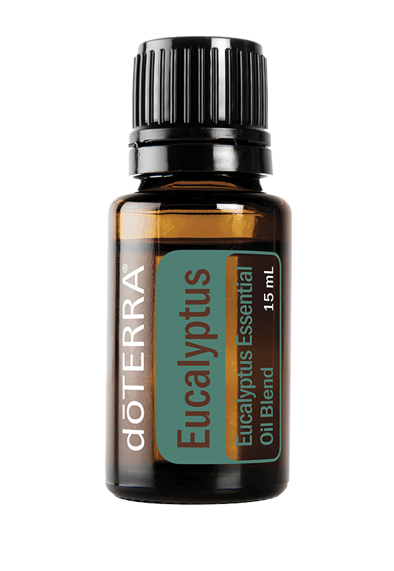Eucalyptus Oil 15ml FREE SHIPPING